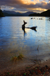 Loch Affric      ref 8504