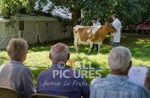 North Show_2014-27