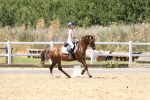 SBM_002551