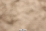 250629-101454-10431