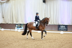 SBM_002833