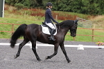 SIAL9483