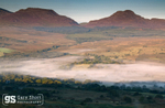 Rhinogydd dawn