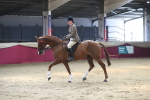 SBM_02071