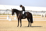 SBM_002690