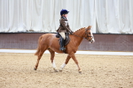 SBM_001043