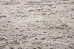 SBM_001756