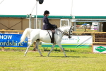 SBM_13307