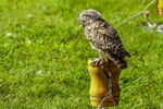 0628 IMG_6616