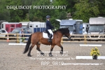 BPP_9819
