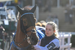 251025-Race 5-Hamlets Night-9287