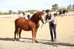 SBM_08484
