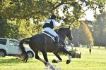 212-CALCOURT.BOLT-John.Westmore-XC portfolio