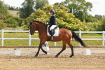 SBM_007661