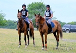 Tweseldown 3 Phase - XC 09-06-25 portfolio
