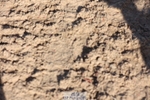251025-143914-01644