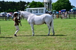 SBM_03882