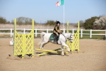 SBM_000631
