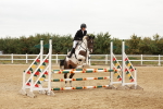 SBM_008875