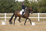 SBM_010995