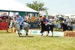 SBM_16906