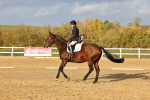 SBM_002813