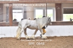 BPP_0848