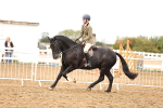 SBM_01393