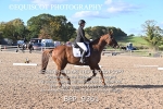BPP_9361
