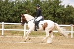 SBM_006582