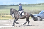 BPP_9331