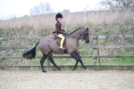 SBM_004797