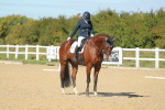 SBM_001542