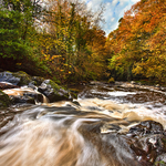 Crumlin River In Autumn
