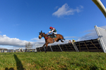 250225-Race 3-Ballyvango-0684