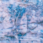 ROCK AND LICHEN DETAIL, CANYONLANDS NP - UTAH