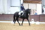 SBM_003341