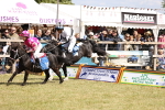SBM_16621