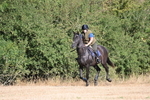 WJ6_6764