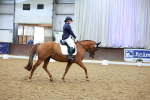 Class 12 - E2 - Championship 16.10-17.20 portfolio