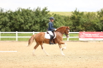 SBM_000919