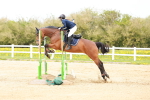 SBM_006002