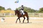 SBM_004804