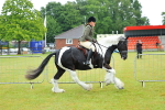 SBM_00912