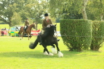 SBM_66633