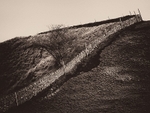 Wigglesworth 01