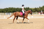 SBM_005014