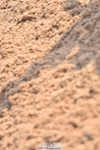 230610A-092927-02534