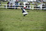 PtP 150320 0362