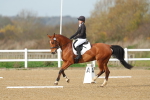SBM_003395